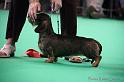 Crufts2011_2 1638